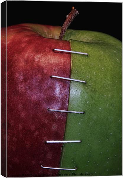Red and Green Apple Canvas Print by Matthew Bates