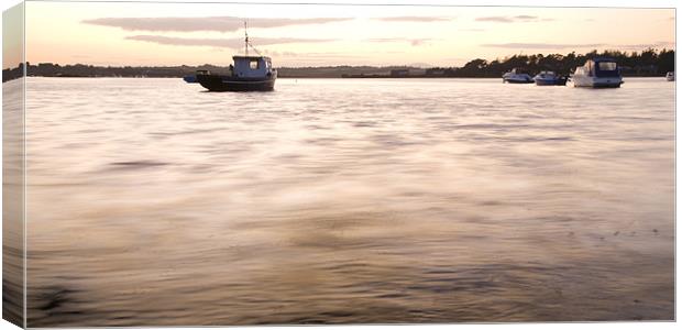 Wexford Harbour at sunset Canvas Print by Ian Middleton