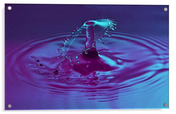 Splash 1118 Acrylic by colin ashworth