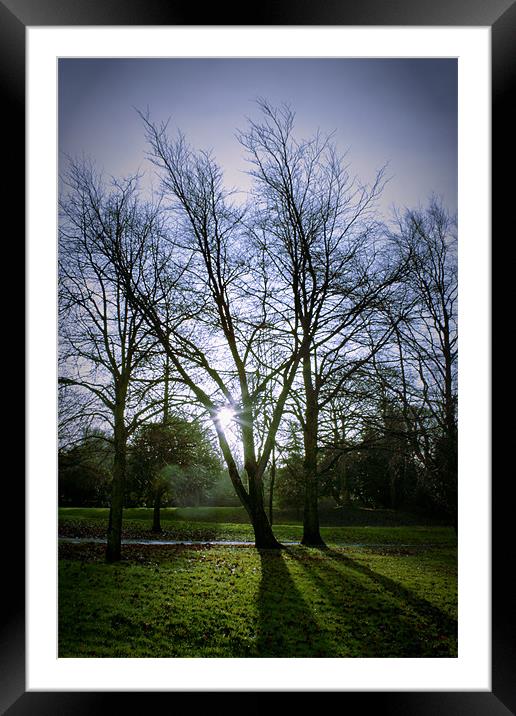 bolling park sunrise and shadows Framed Mounted Print by simon sugden