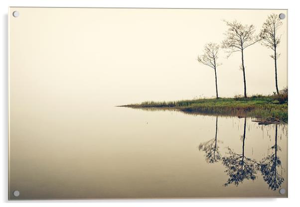 Early mist, Loch Ard Acrylic by David Mould