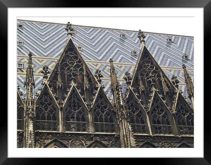 St.STEPHAN'S CATHEDRAL ROOF Framed Mounted Print by radoslav rundic