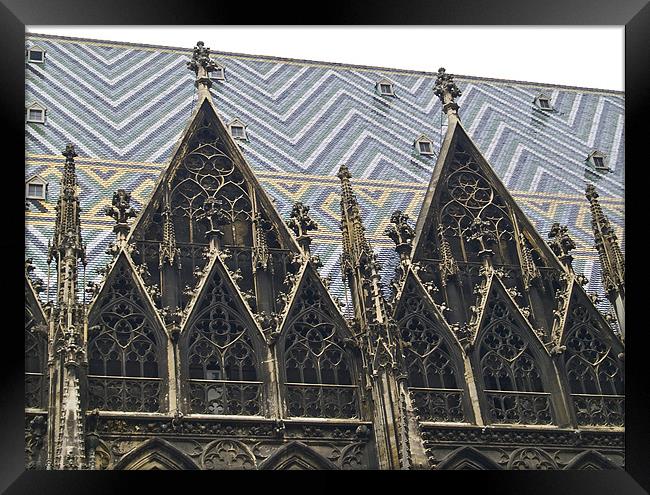 St.STEPHAN'S CATHEDRAL ROOF Framed Print by radoslav rundic