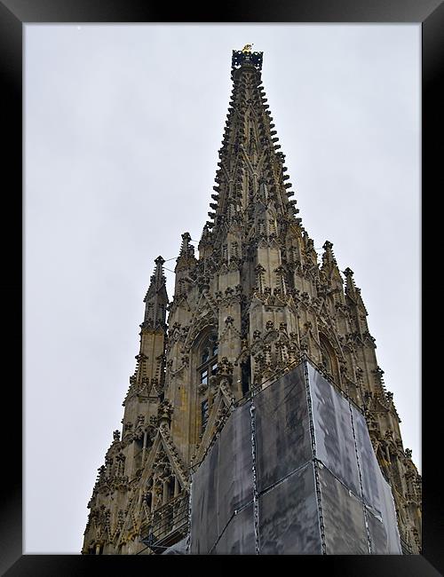 St.STEPHAN'S CATHEDRAL TOWER Framed Print by radoslav rundic