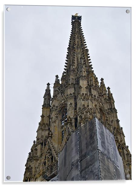 St.STEPHAN'S CATHEDRAL TOWER Acrylic by radoslav rundic