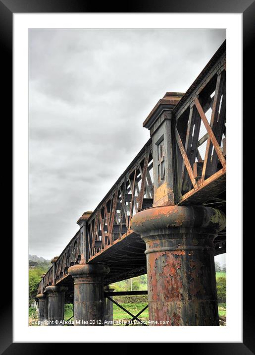 Barnstaple Railway Bridge Framed Mounted Print by Alexia Miles