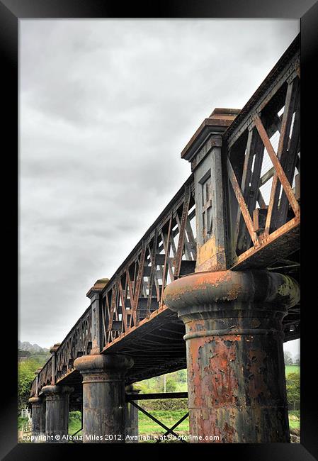Barnstaple Railway Bridge Framed Print by Alexia Miles