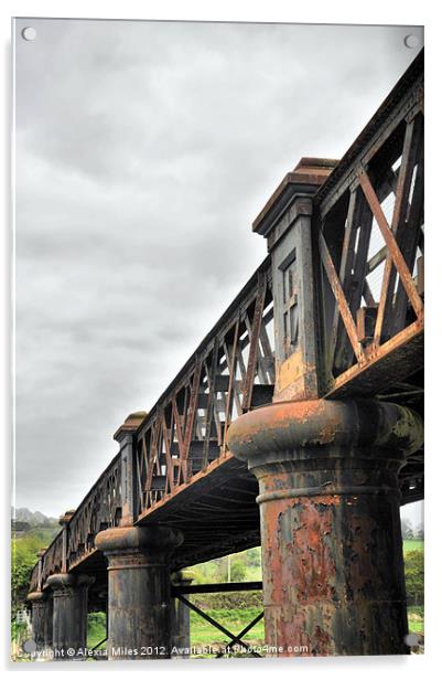 Barnstaple Railway Bridge Acrylic by Alexia Miles