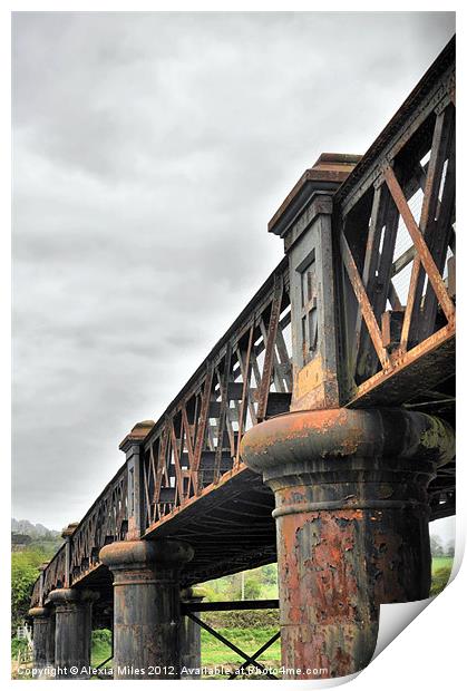 Barnstaple Railway Bridge Print by Alexia Miles