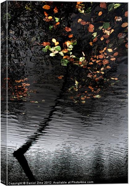 Trakoscan Tree Reflection Canvas Print by Daniel Zrno