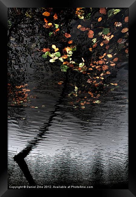 Trakoscan Tree Reflection Framed Print by Daniel Zrno
