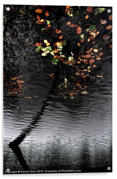 Trakoscan Tree Reflection Acrylic by Daniel Zrno