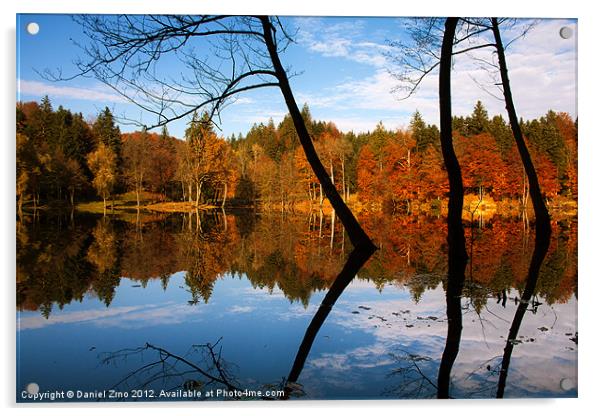 Trakoscan Lake Autumn Acrylic by Daniel Zrno