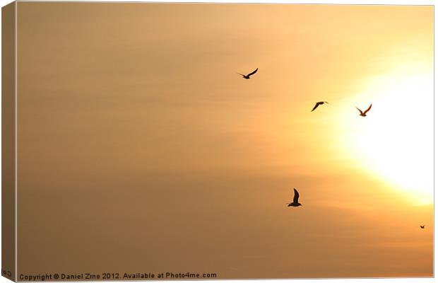 Birds flying into the sun Canvas Print by Daniel Zrno