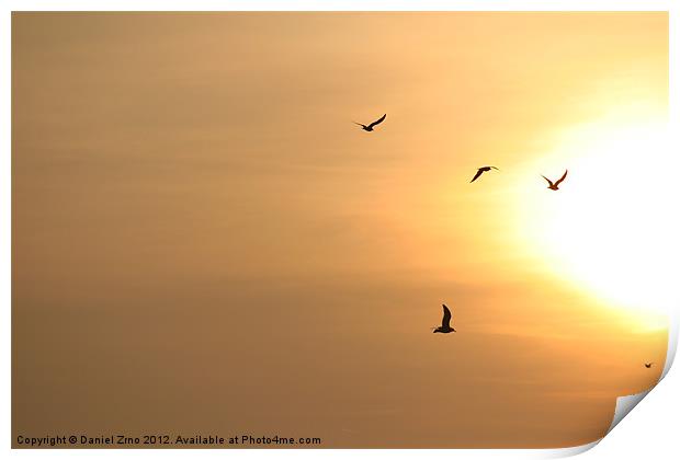 Birds flying into the sun Print by Daniel Zrno