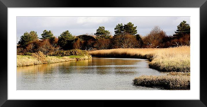 Dark Water River Framed Mounted Print by Louise Godwin