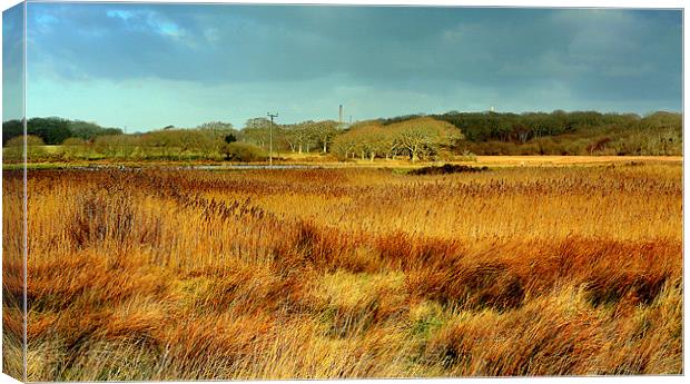 Marsh View Canvas Print by Louise Godwin