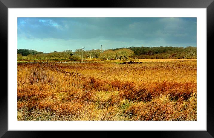 Marsh View Framed Mounted Print by Louise Godwin