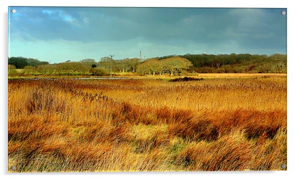 Marsh View Acrylic by Louise Godwin