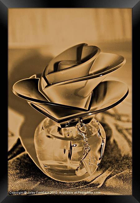 Perfume Bottle Framed Print by Jules Camfield