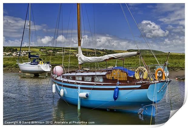 Yachts Print by Dave Wilkinson North Devon Ph