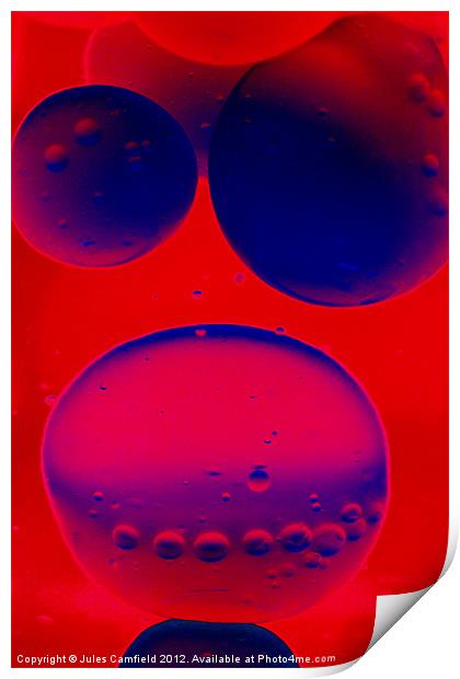 Bubbles Print by Jules Camfield