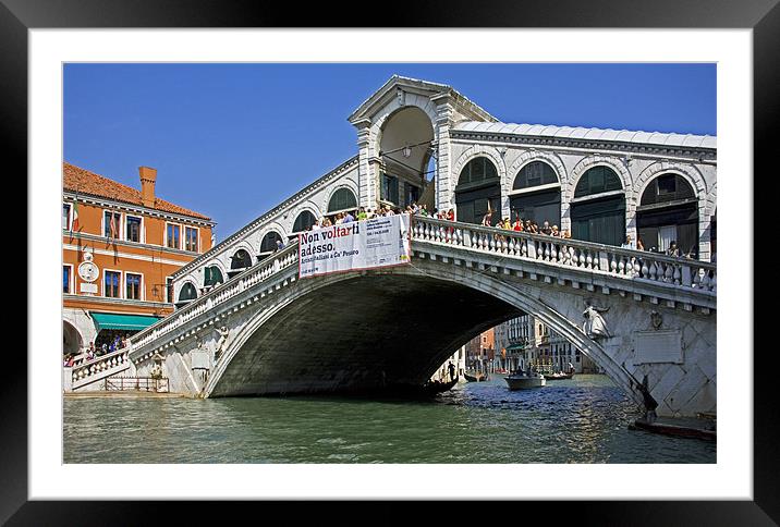 Ponte di Rialto Framed Mounted Print by Tom Gomez