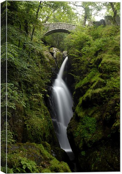 Aira Force Water Fall Canvas Print by Julie  Chambers