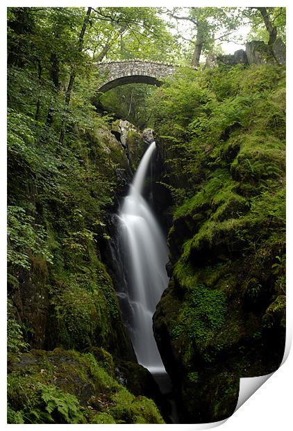 Aira Force Water Fall Print by Julie  Chambers