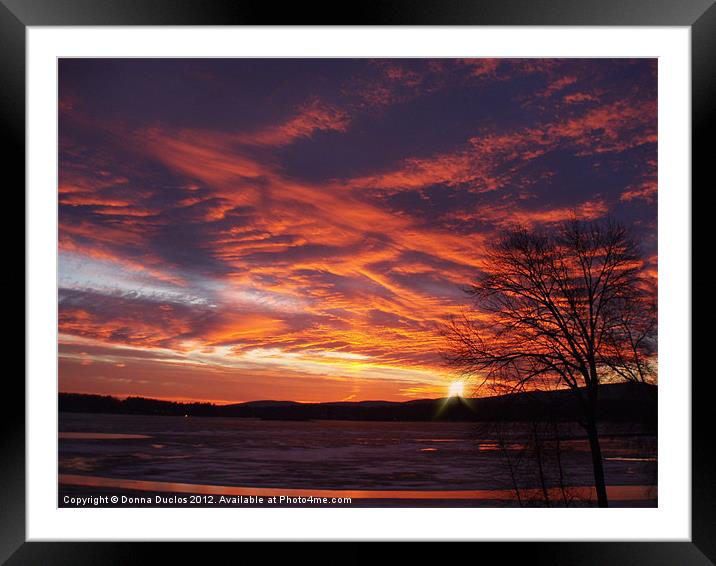 Winter Sunset Framed Mounted Print by Donna Duclos