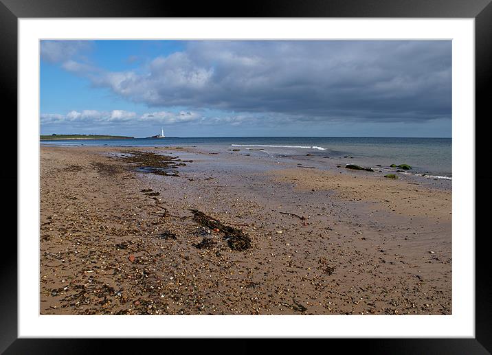 Calm Sea Framed Mounted Print by John Ellis