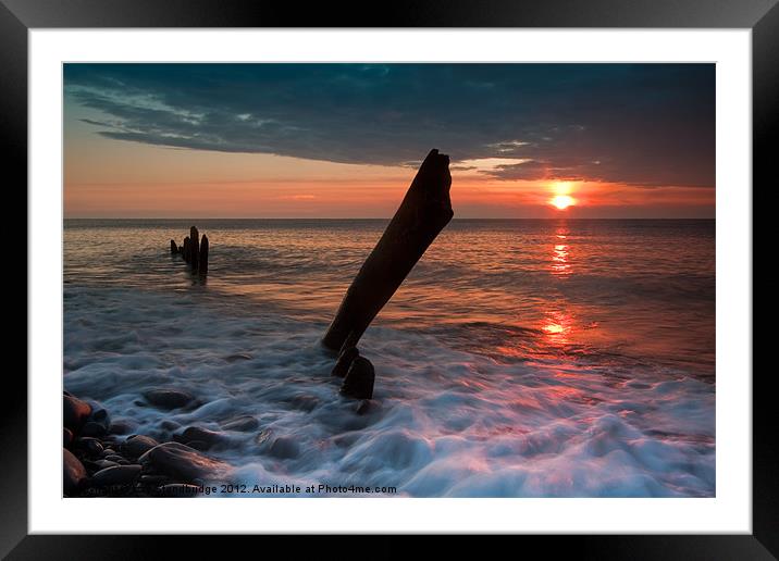 Posts at sunset Framed Mounted Print by Izzy Standbridge