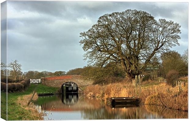Kenet and Avon Canal Canvas Print by Tony Bates