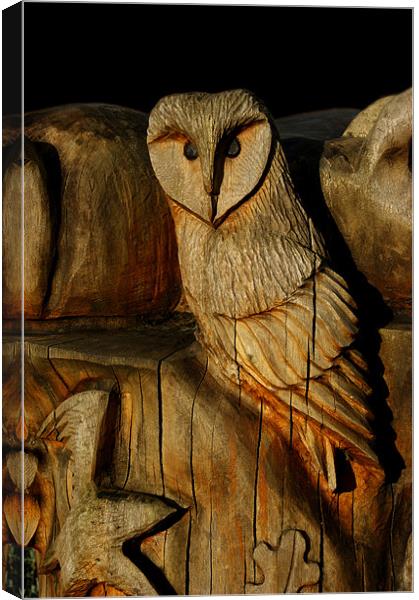 Wooden Owl Canvas Print by Rachael Hood