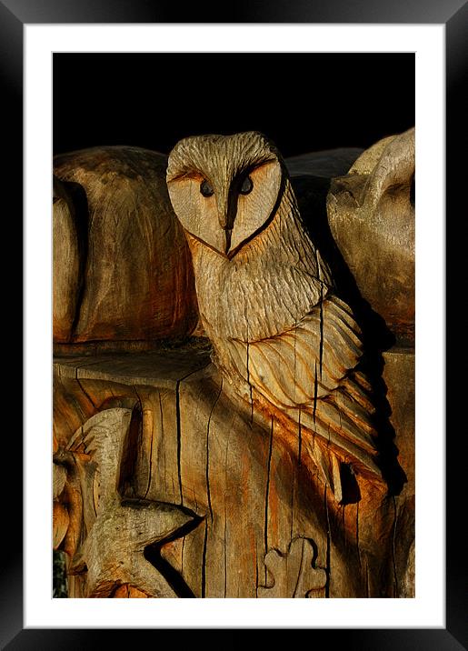Wooden Owl Framed Mounted Print by Rachael Hood