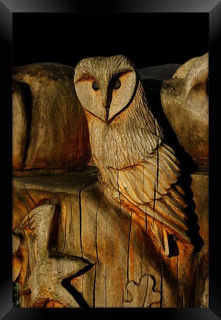 Wooden Owl Framed Print by Rachael Hood