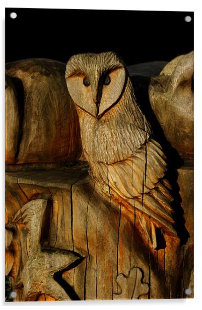 Wooden Owl Acrylic by Rachael Hood