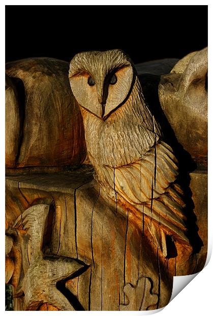 Wooden Owl Print by Rachael Hood