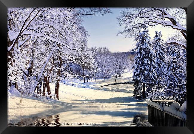 Winter Snow Framed Print by Elaine Manley