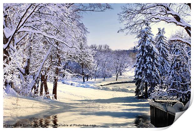 Winter Snow Print by Elaine Manley