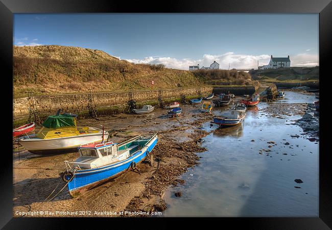 Seaton Sluice Framed Print by Ray Pritchard
