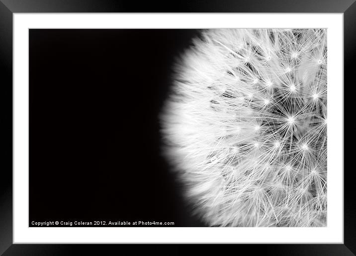 Just blow!!! Framed Mounted Print by Craig Coleran
