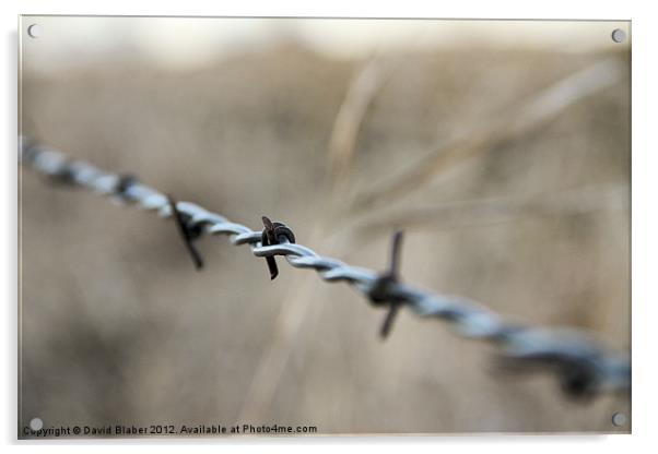 Barb Wire Fence. Acrylic by David Blaber