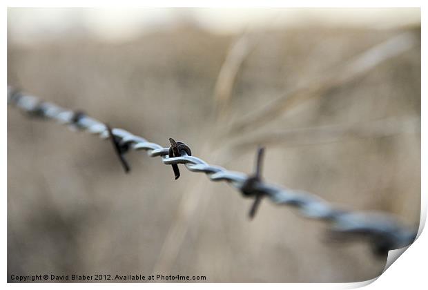 Barb Wire Fence. Print by David Blaber
