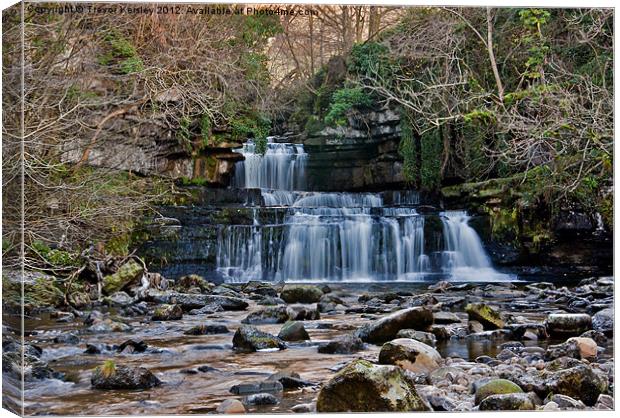 Cotter Force - Wensleydale Canvas Print by Trevor Kersley RIP