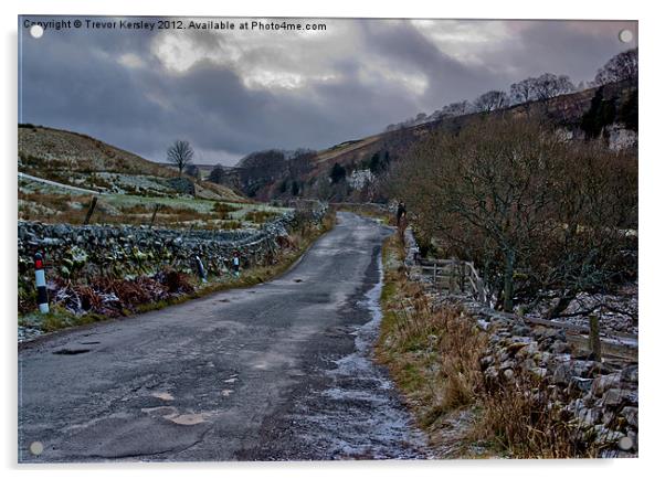 Country Road - Swaledale Acrylic by Trevor Kersley RIP