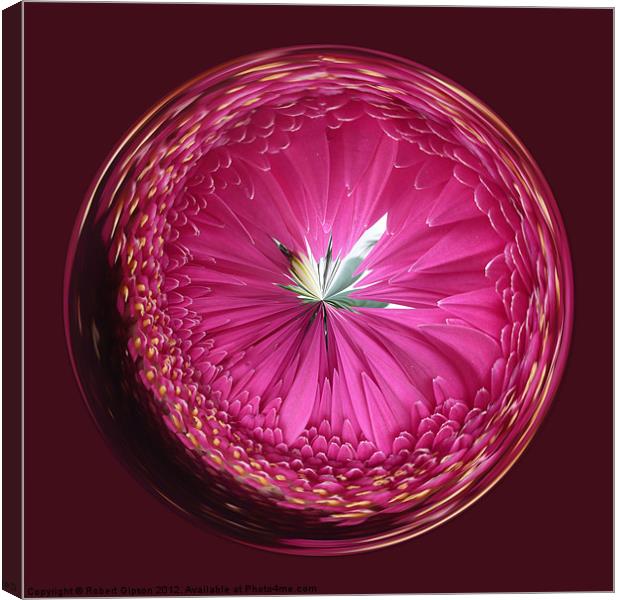 Spherical Purple wonder Canvas Print by Robert Gipson