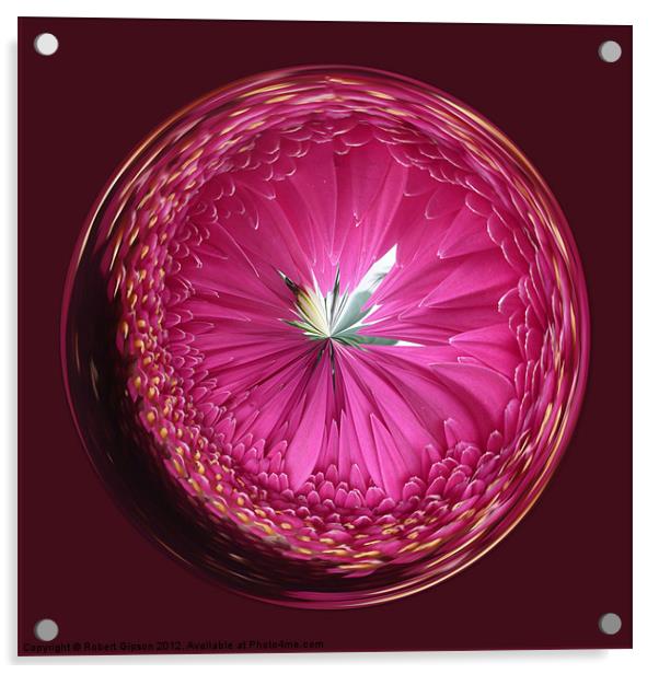 Spherical Purple wonder Acrylic by Robert Gipson