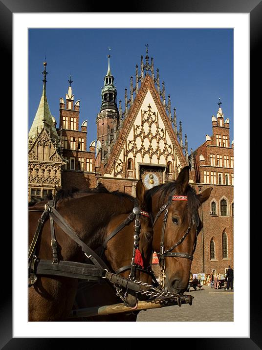 Poland Wroclaw Town Hall Framed Mounted Print by david harding