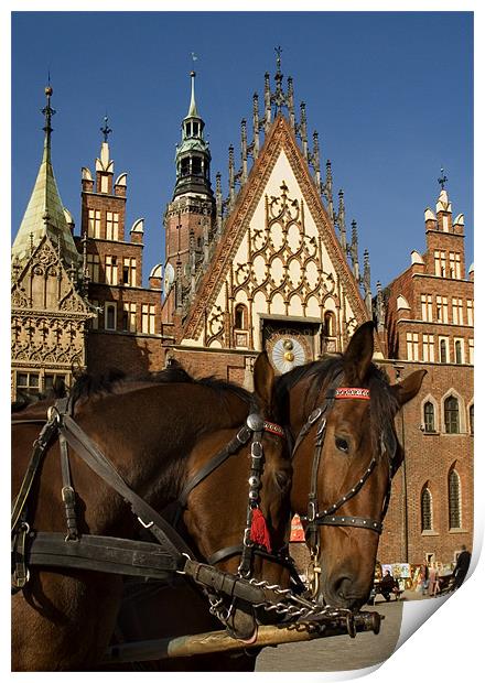 Poland Wroclaw Town Hall Print by david harding